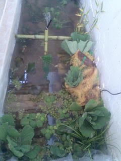 Imagen035.jpg