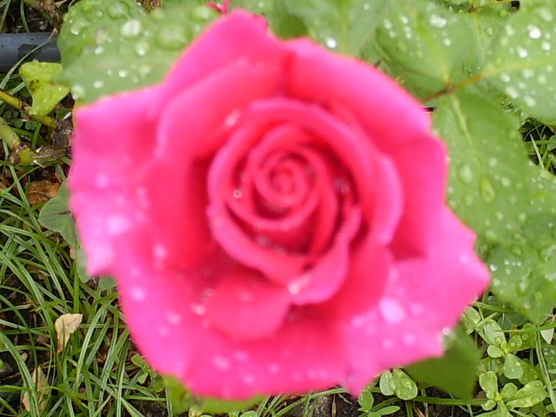 Imagen038.jpg