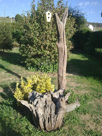 Imagen038.jpg