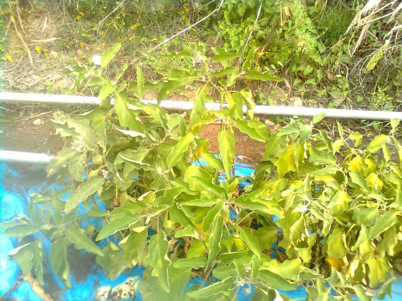 Imagen0389.jpg