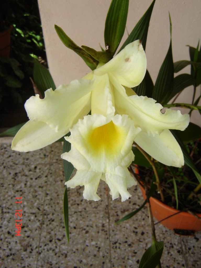 Imagen039.jpg