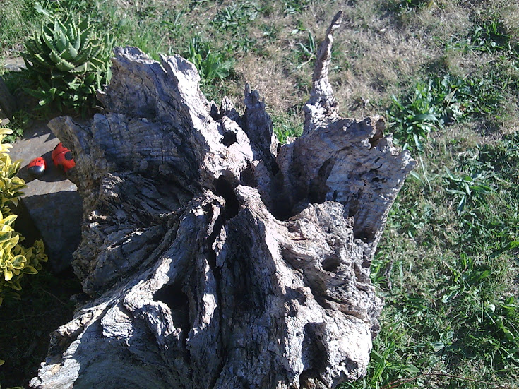 Imagen039.jpg