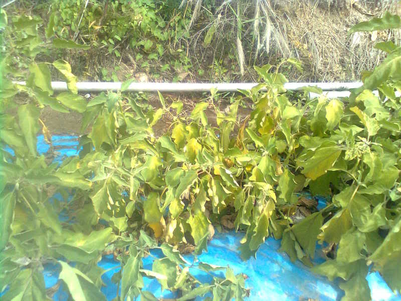 Imagen0390.jpg