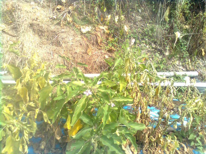Imagen0393.jpg