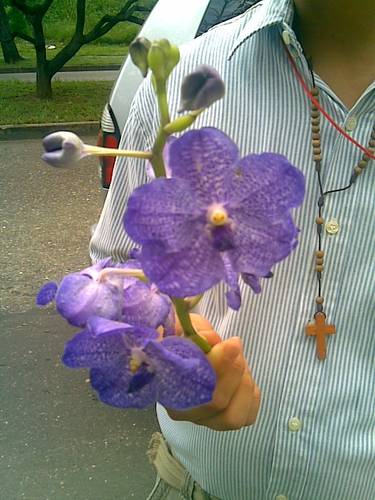 Imagen040.jpg