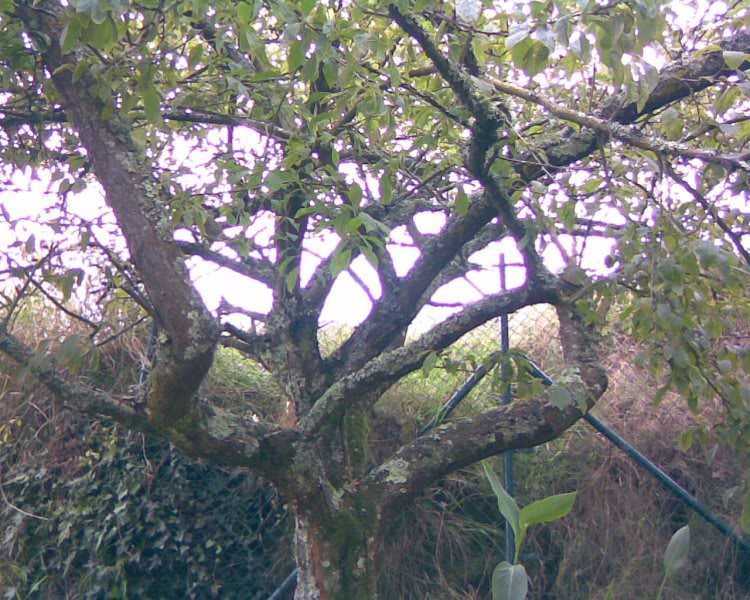 Imagen041.jpg