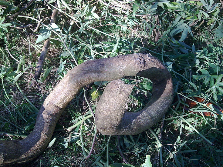 Imagen041.jpg