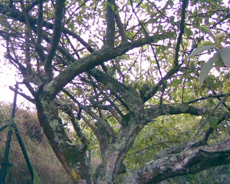 Imagen042.jpg