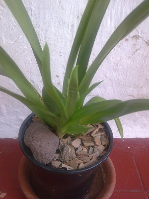 Imagen0420.jpg