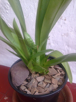 Imagen0423.jpg
