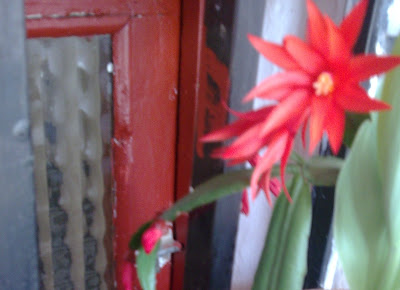 Imagen0429.jpg