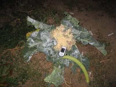 Imagen044.jpg