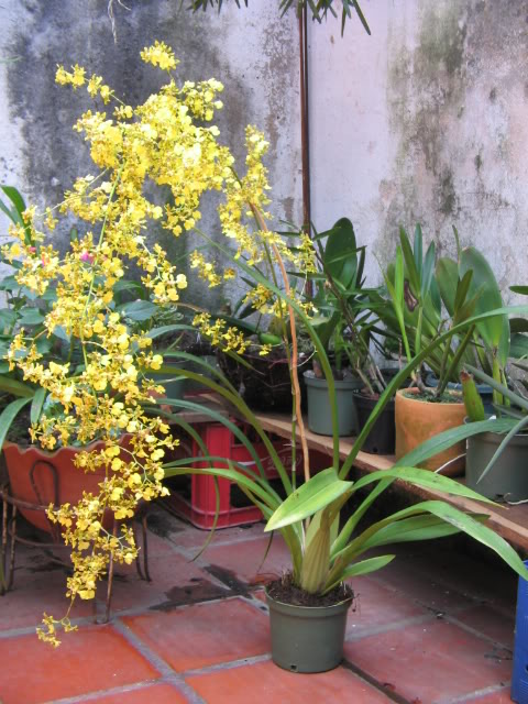 Imagen044.jpg