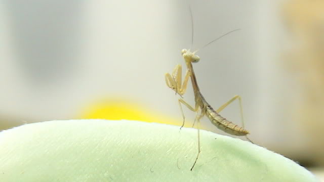 Imagen045.jpg