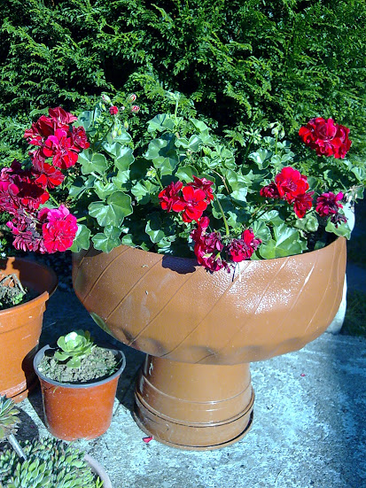 Imagen046.jpg