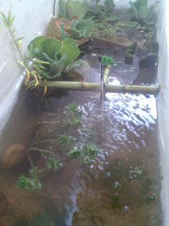 Imagen047.jpg