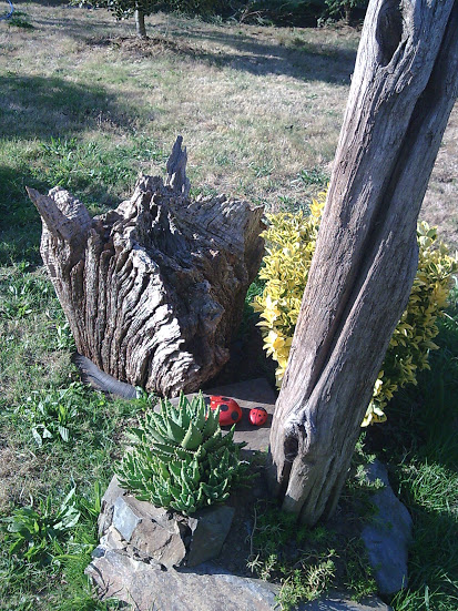 Imagen047.jpg