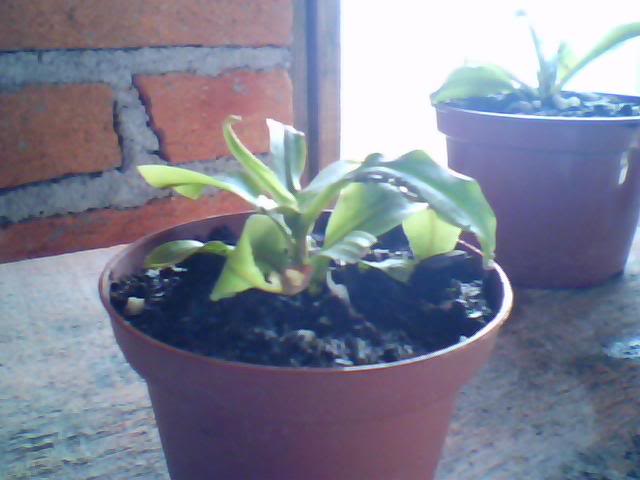 Imagen049-1.jpg