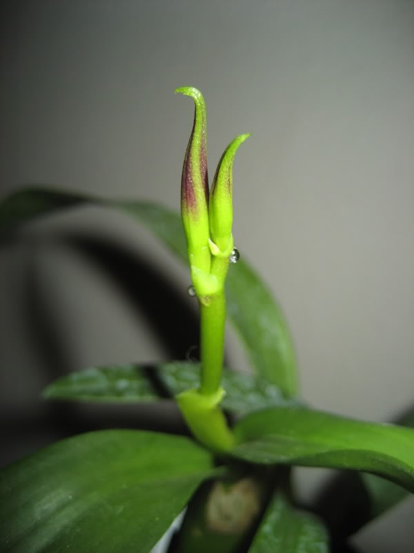 Imagen049.jpg
