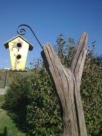 Imagen049.jpg
