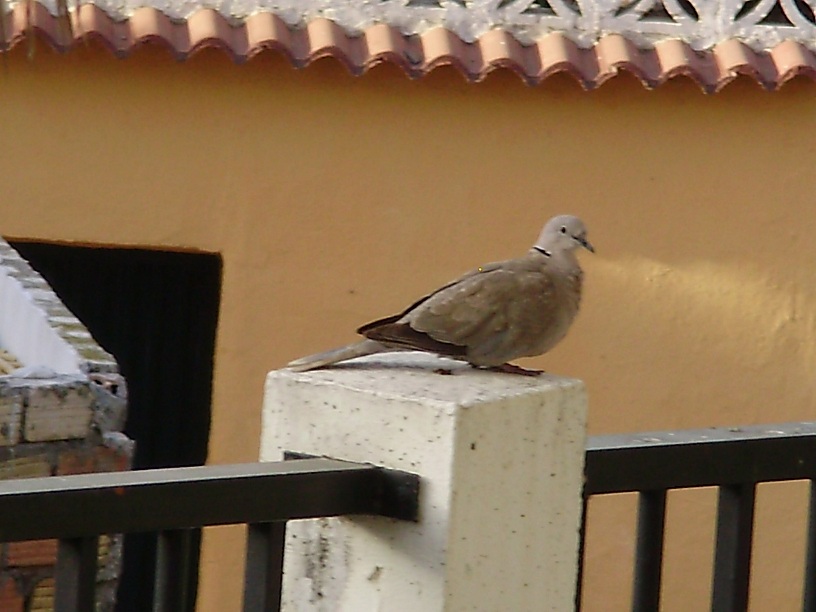 imagen05.jpg