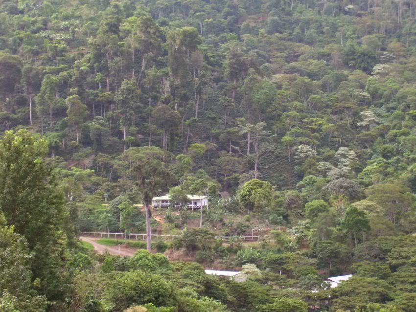 Imagen051.jpg