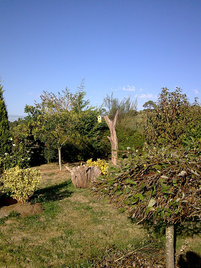 Imagen051.jpg