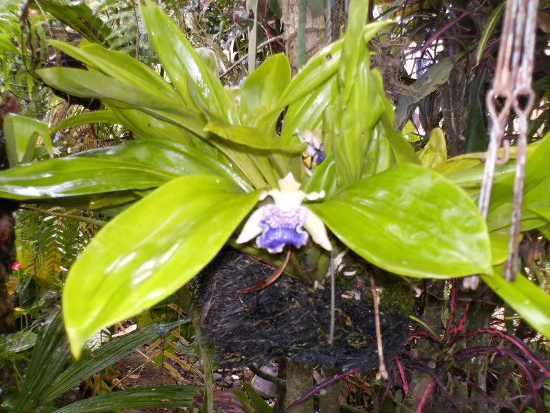Imagen052-1.jpg