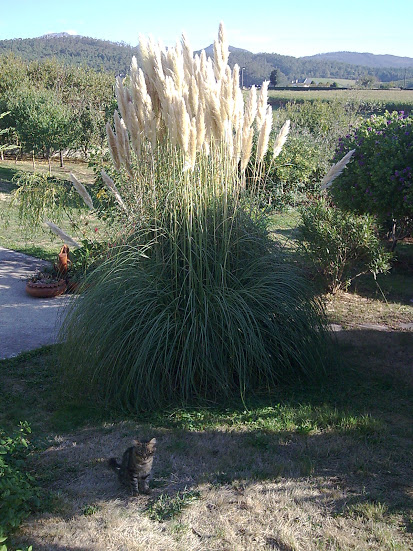 Imagen052.jpg