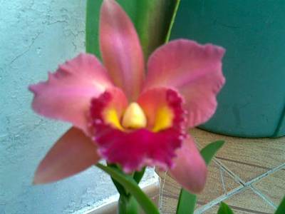Imagen0522.jpg