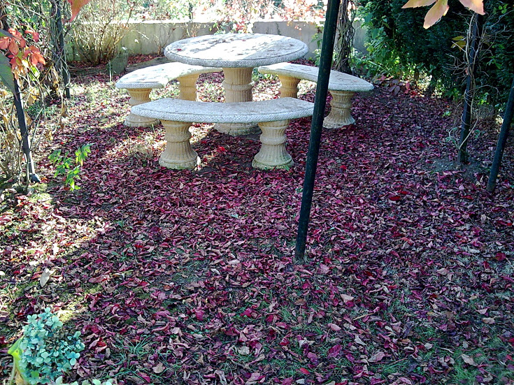 Imagen053.jpg