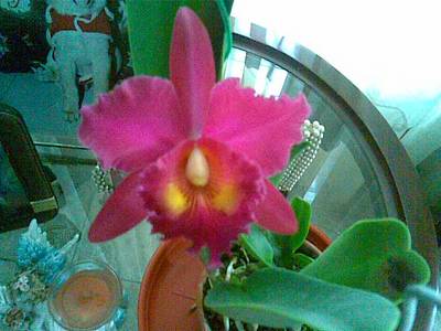 Imagen056.jpg
