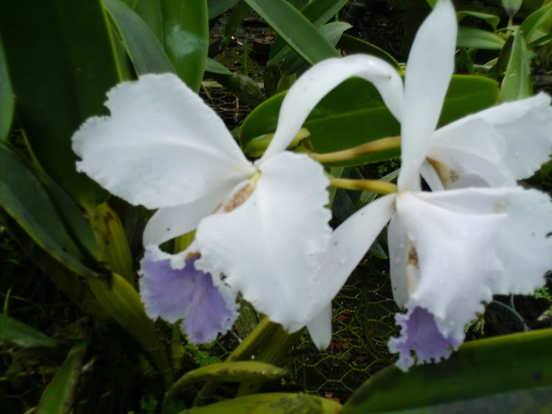 Imagen059-1.jpg