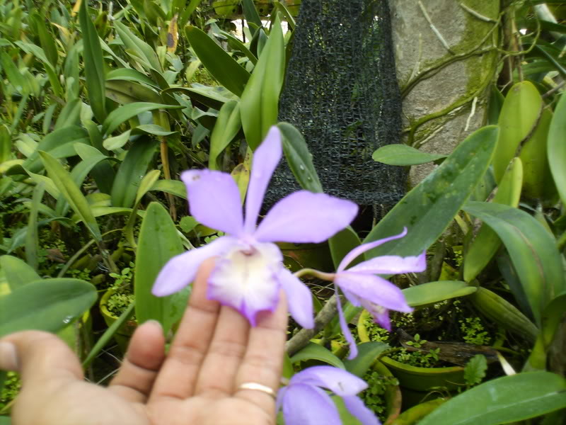 Imagen060-1.jpg