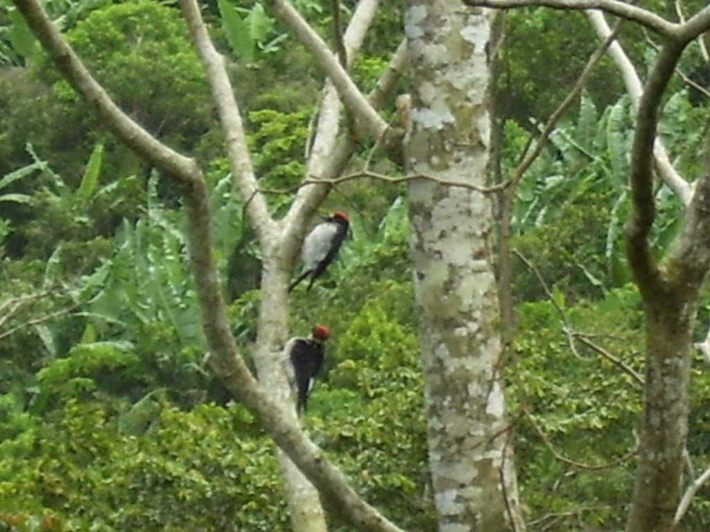Imagen065.jpg