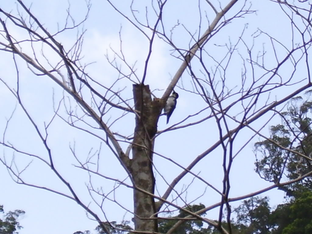 Imagen066.jpg