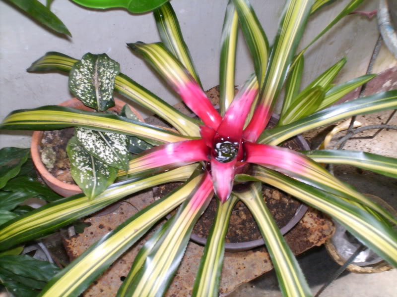 Imagen069.jpg