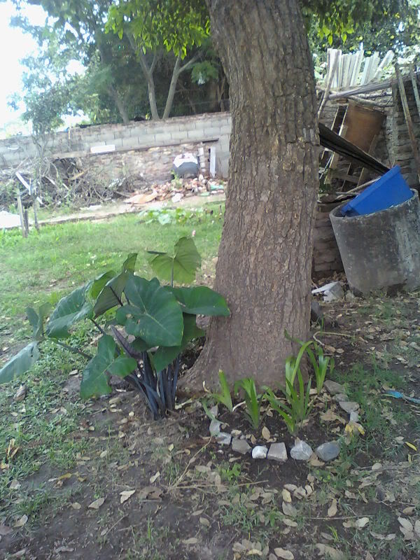 Imagen073.jpg