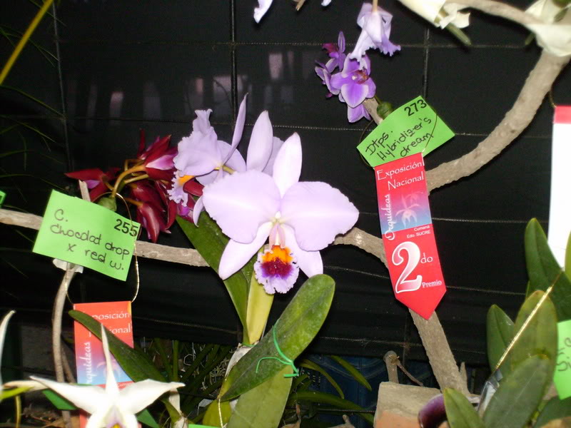 Imagen075.jpg