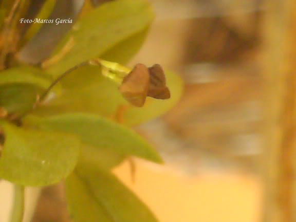 Imagen075123.jpg