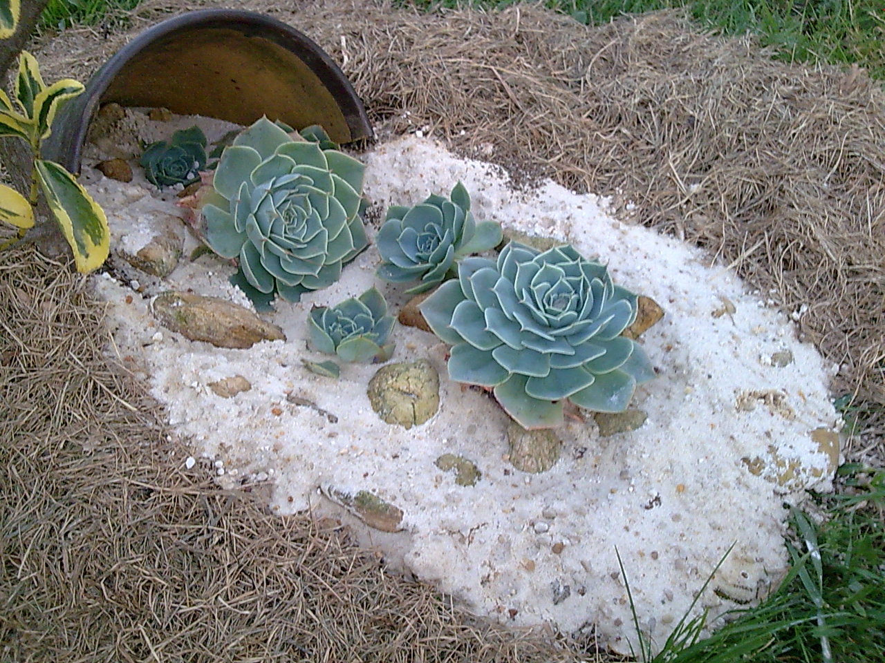 Imagen078.jpg