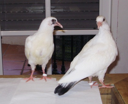 imagen08.jpg