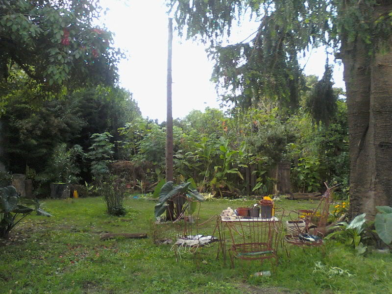 Imagen080-1.jpg