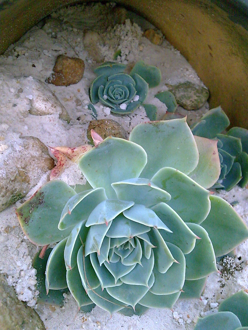 Imagen082.jpg