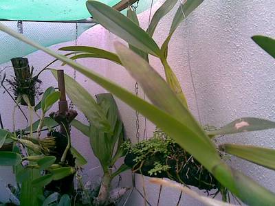 Imagen083.jpg