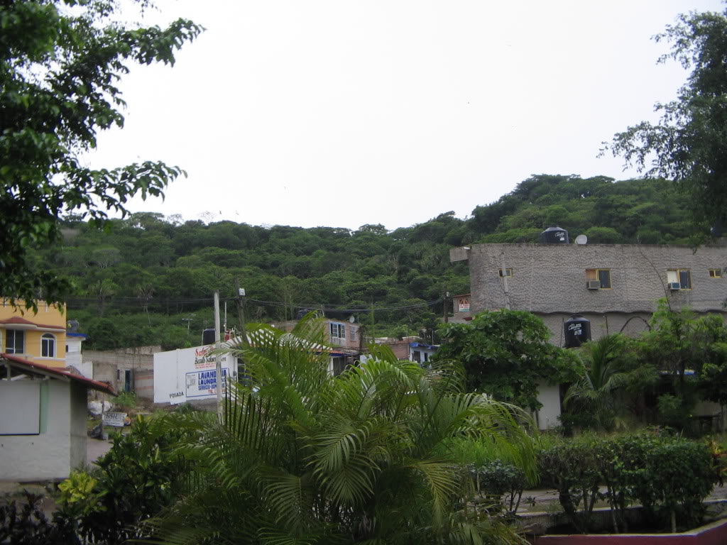 Imagen083.jpg