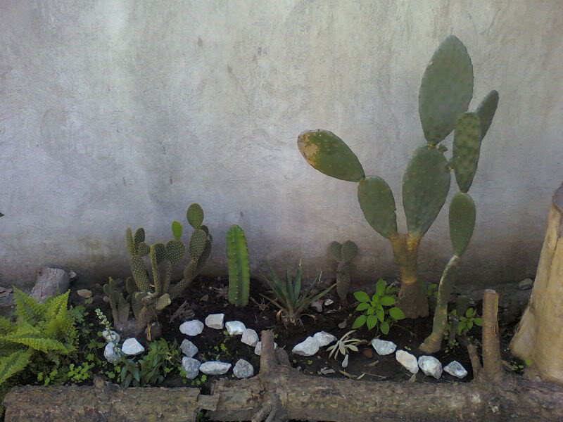 Imagen084.jpg