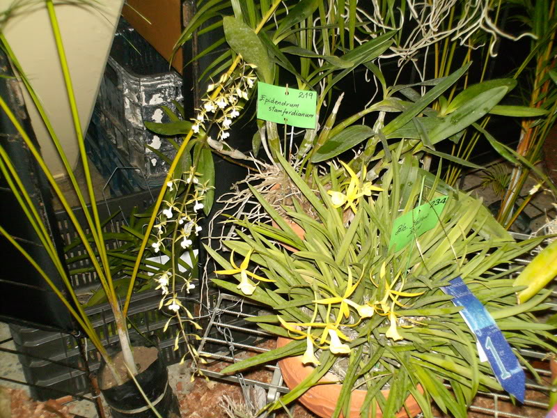 Imagen085.jpg