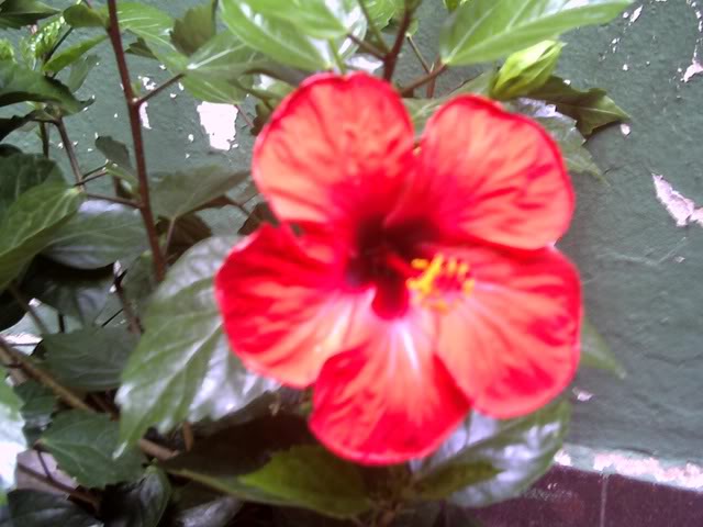 Imagen088.jpg