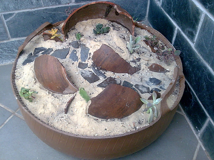 Imagen091.jpg